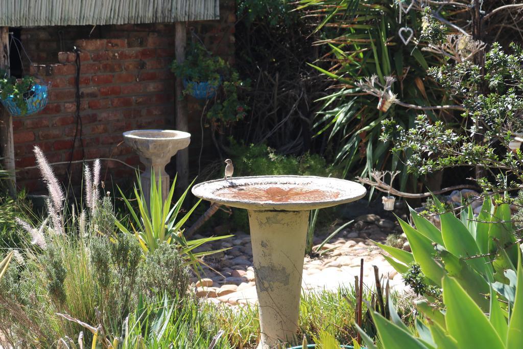 Grysbok Self Catering Accommodation Oudtshoorn Kültér fotó