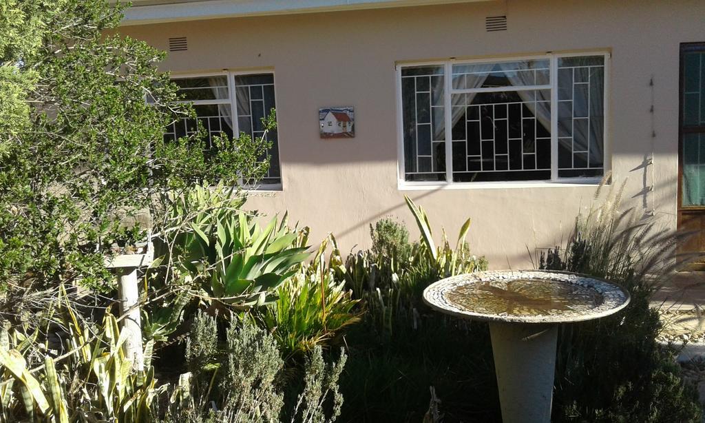 Grysbok Self Catering Accommodation Oudtshoorn Kültér fotó